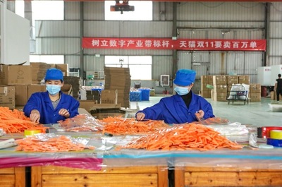 開(kāi)門(mén)紅!天貓雙11首日產(chǎn)業(yè)帶&ldquo;廠貨&rdquo;成交額是去年17倍!